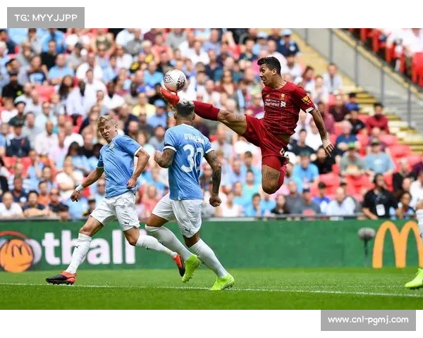 麻阳周末足球联赛覆盖校园与社区,八队竞逐冠军 麻阳周末足球联赛覆盖校园与社区,八队竞逐冠军